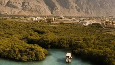 Ras Al Khaimah ranks 1st in Gulf, 4th globally as best city for expats