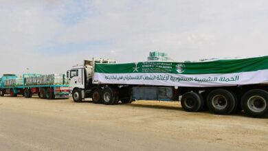 Saudi Arabia's first aid convoys arrive in Gaza