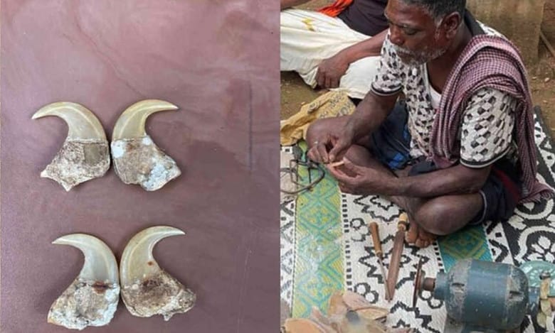 Crackdown on wildlife artifacts in Karnataka puts Hakki Pikki tribe’s craft at stake