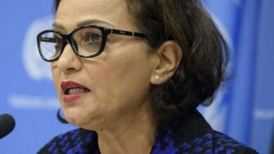 UN envoy calls for de-escalation in Syria