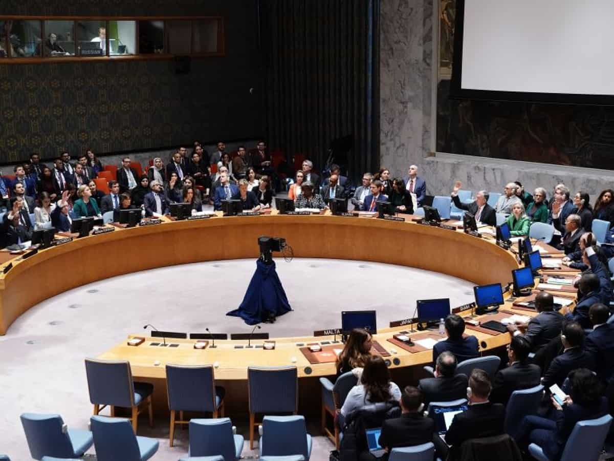 UNSC adopts resolution on Red Sea attacks by Houthis