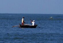 TN fishermen to meet CM Stalin on regular arrests by Lankan Navy