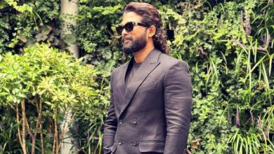 Allu Arjun's MASSIVE fee for brand endorsements revealed!