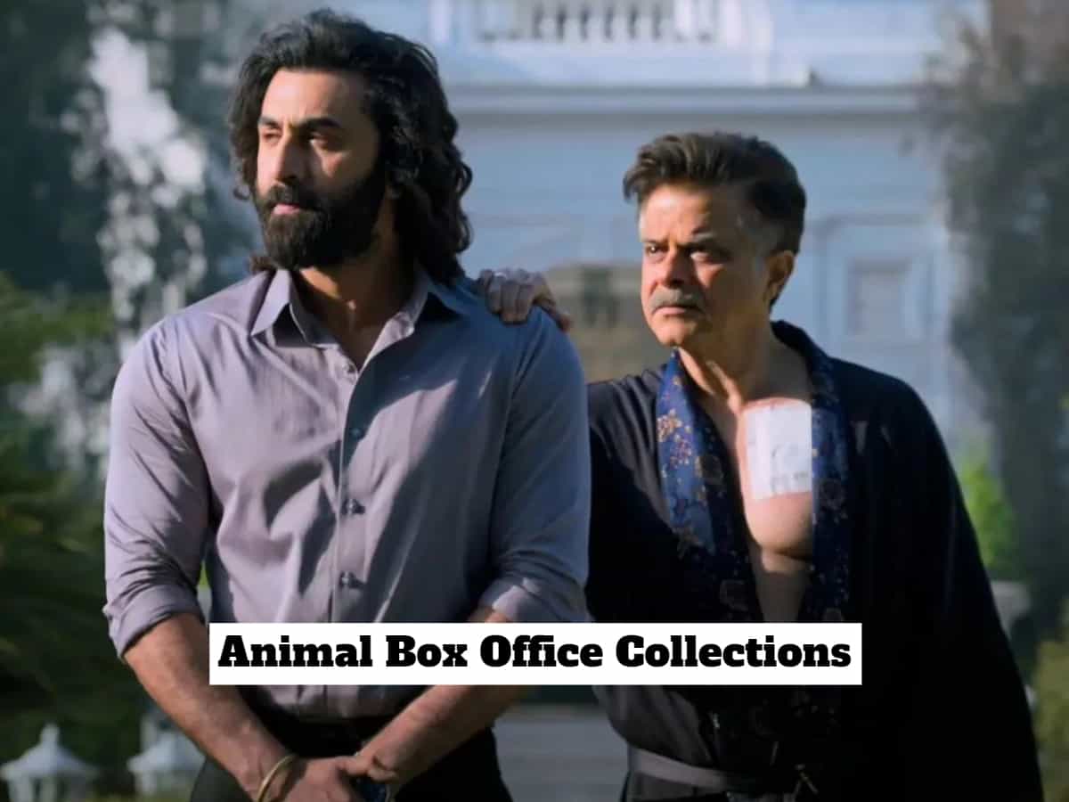 Prediction: Animal's EXPLOSIVE day 1 box office collections