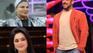 Bigg Boss 17: Names of 7 wild card contestants, here's list