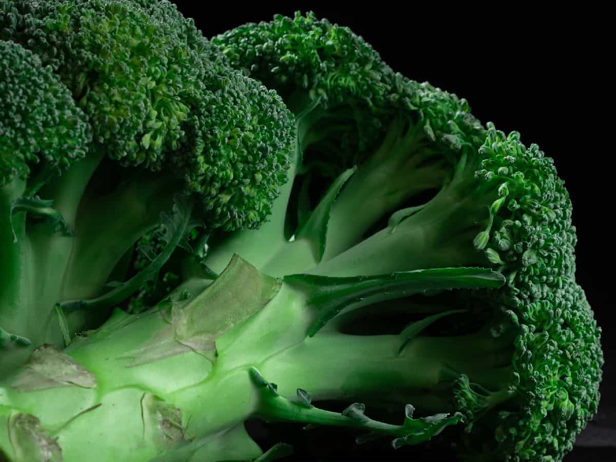 Broccoli may protect against inflammatory bowel disease: Study