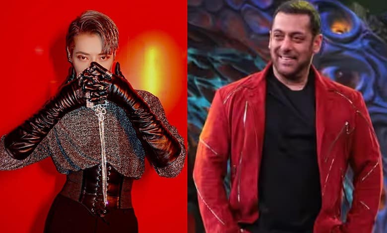New contestant in Bigg Boss 17: A K-pop star, who is he?