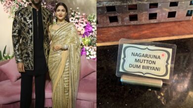 'Nagarjuna Mutton Biryani' at Varun-Lavanya's Hyd reception!