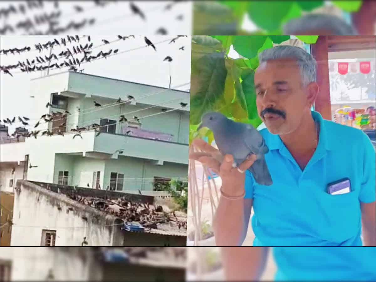 Haveri Resident Tikmarama Chaudhary Emerges as a Guardian Angel for Avian Population in the Face of Decline