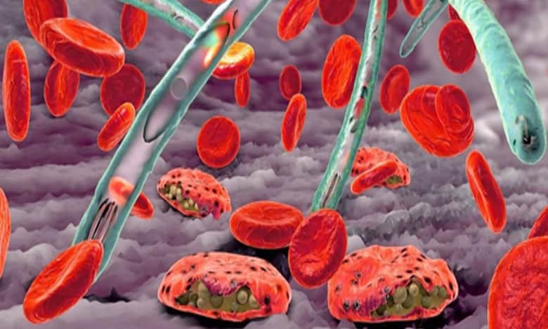 TB, malaria causing pathogens use force to breach immune defences: Study