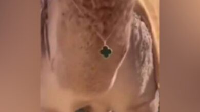 Watch: Camel in Saudi Arabia receives Rs 6L Van Cleef necklace