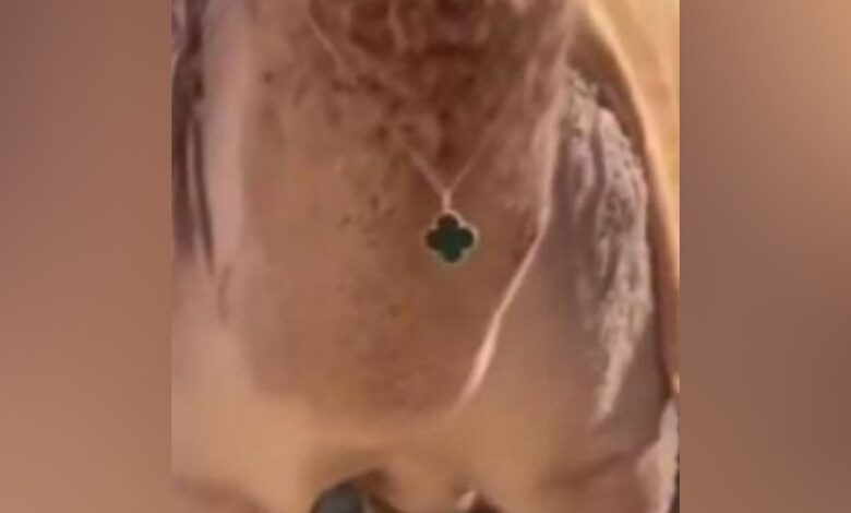 Watch: Camel in Saudi Arabia receives Rs 6L Van Cleef necklace