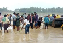Cyclone causes extensive damage to crops