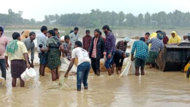 Cyclone causes extensive damage to crops