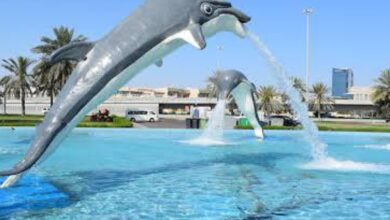 Nine Abu Dhabi parks secure World Disability Union's prize
