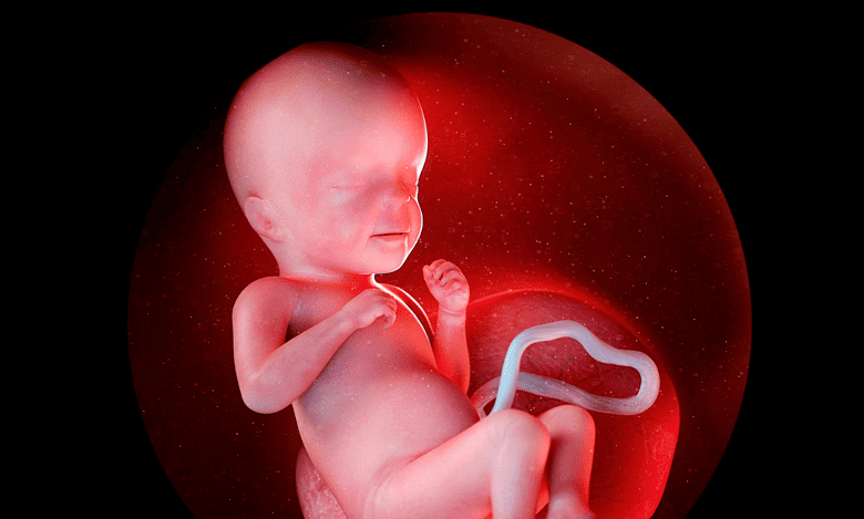 Karnataka foeticide scam: Foetuses thrown in dustbin with medical waste