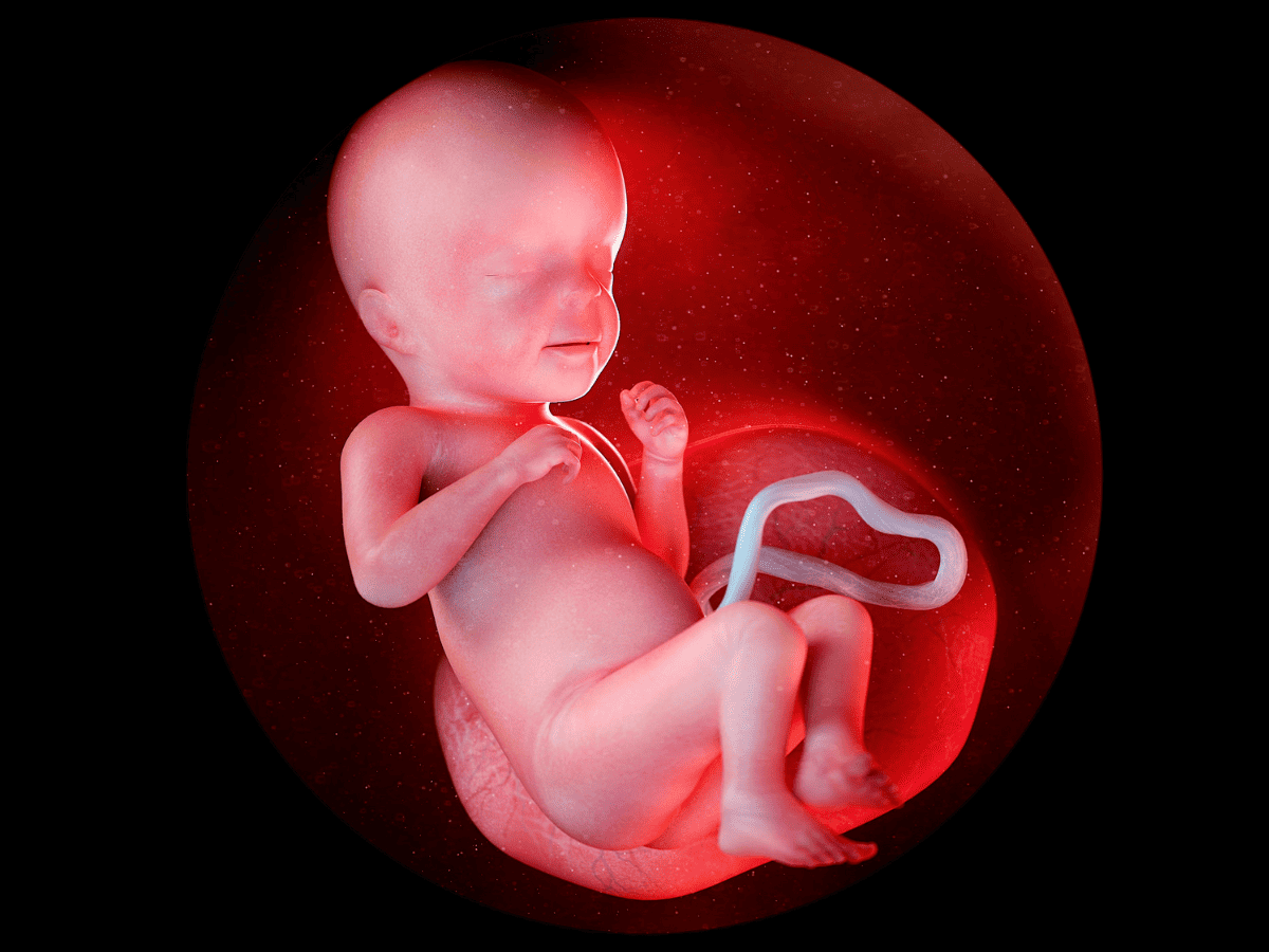 Karnataka foeticide scam: Foetuses thrown in dustbin with medical waste