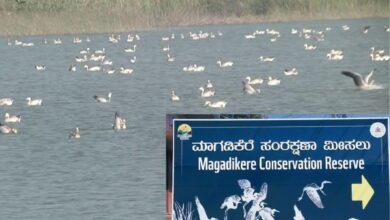 Shirahatti lake in Gadag