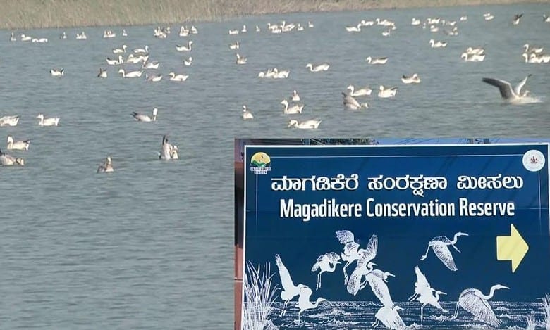Shirahatti lake in Gadag