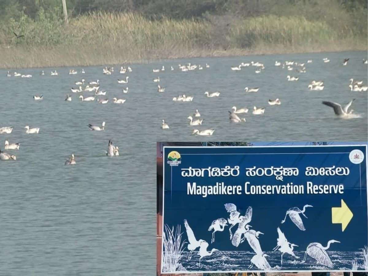 Shirahatti lake in Gadag