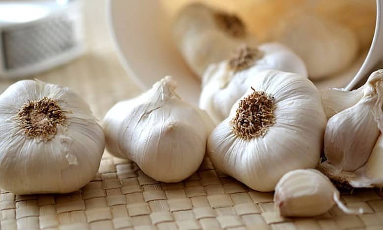 Karnataka: Kitchens struggle as garlic price touches Rs 400/kg