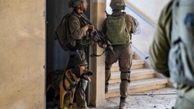 Israeli forces grappling with intestinal diseases amid Gaza conflict