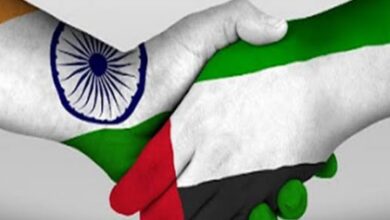 Cabinet approves bilateral investment treaty with UAE