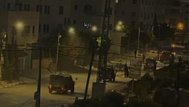 Four Palestinians killed in IDF airstrike near Tulkarm