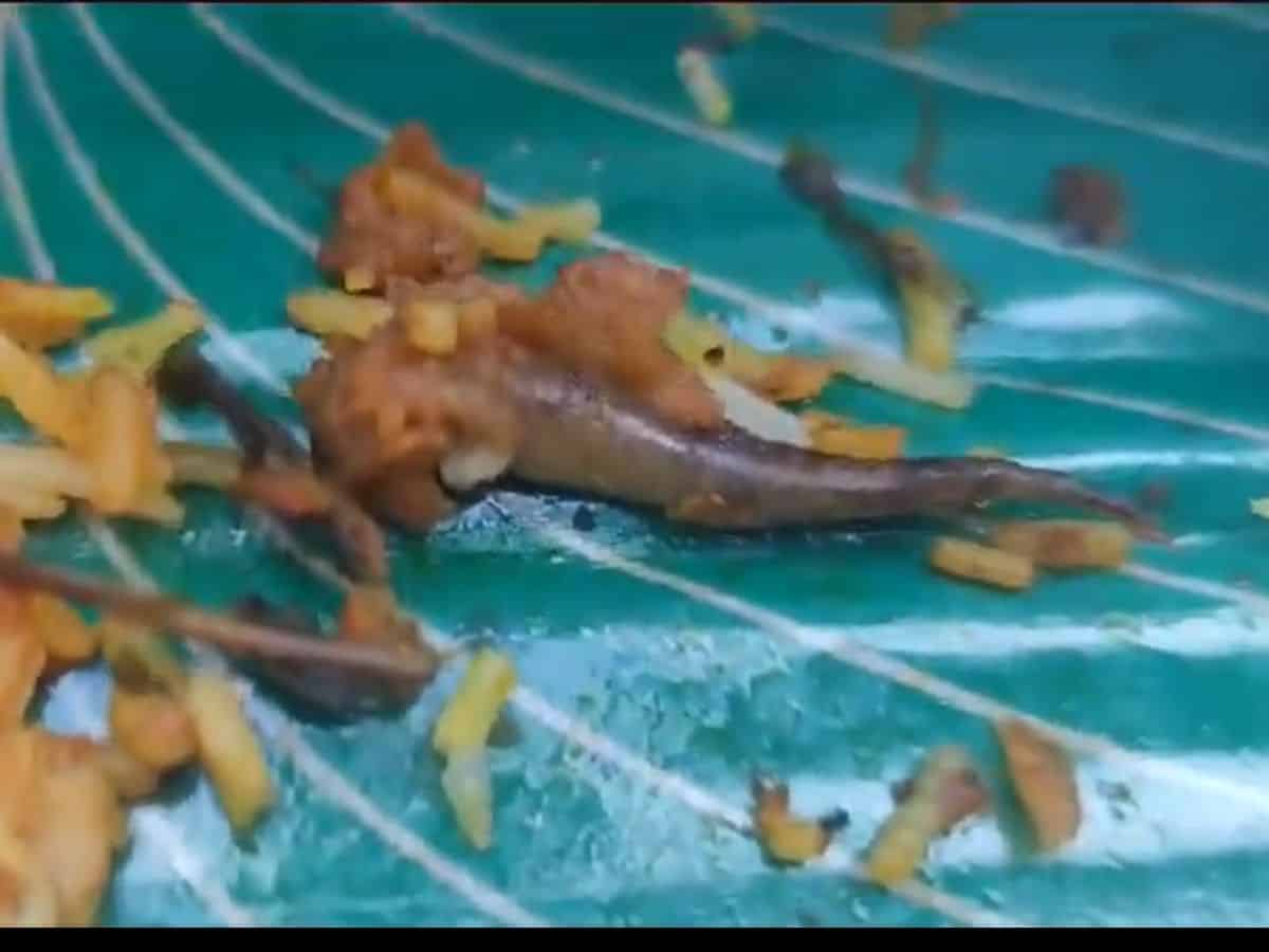 Lizard tail found in Biryani, restaurateur say its fish biryani 