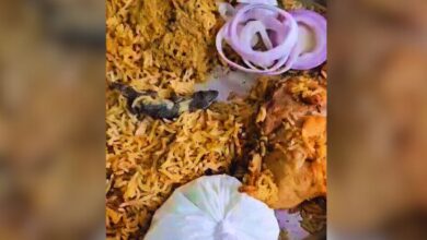 Lizard in biryani puts restaurant in Hyderabad under GHMC scrutiny