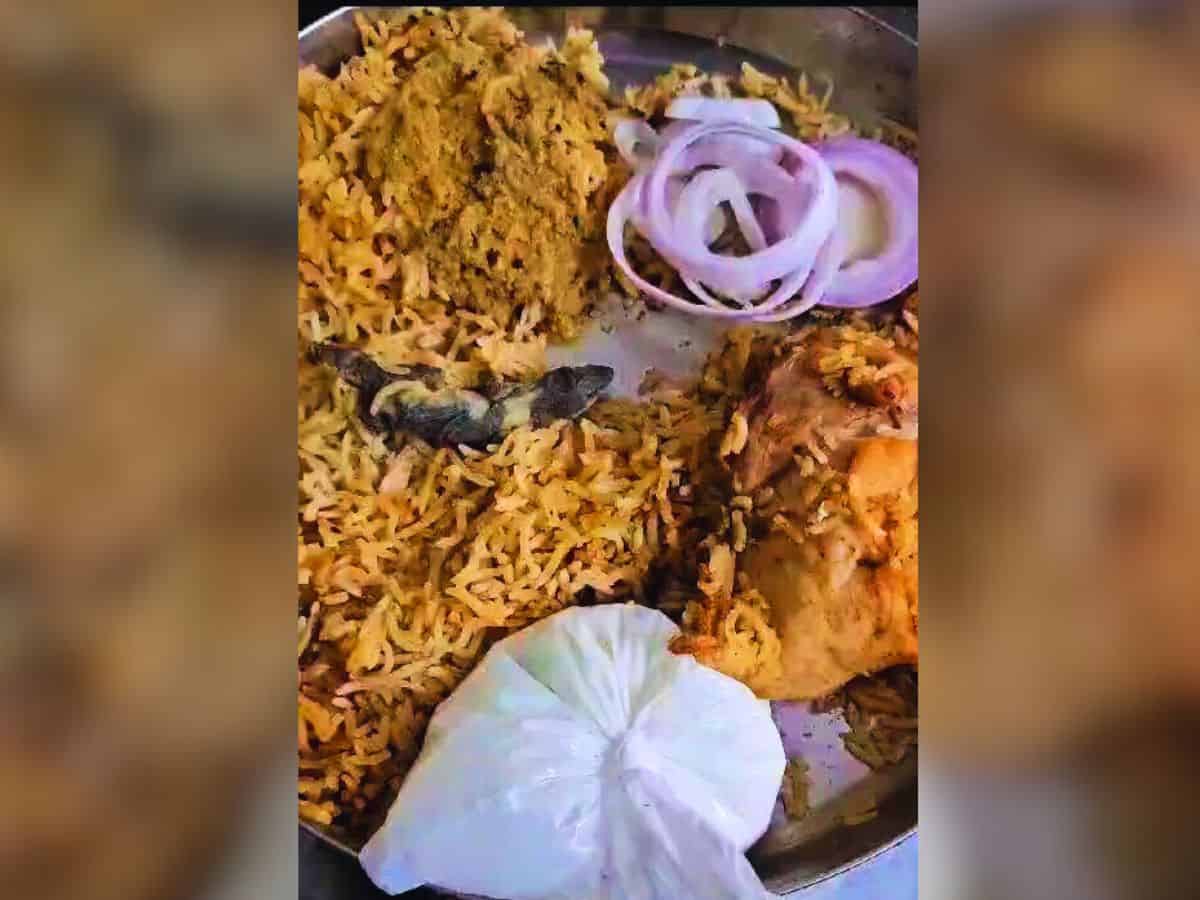 Lizard in biryani puts restaurant in Hyderabad under GHMC scrutiny