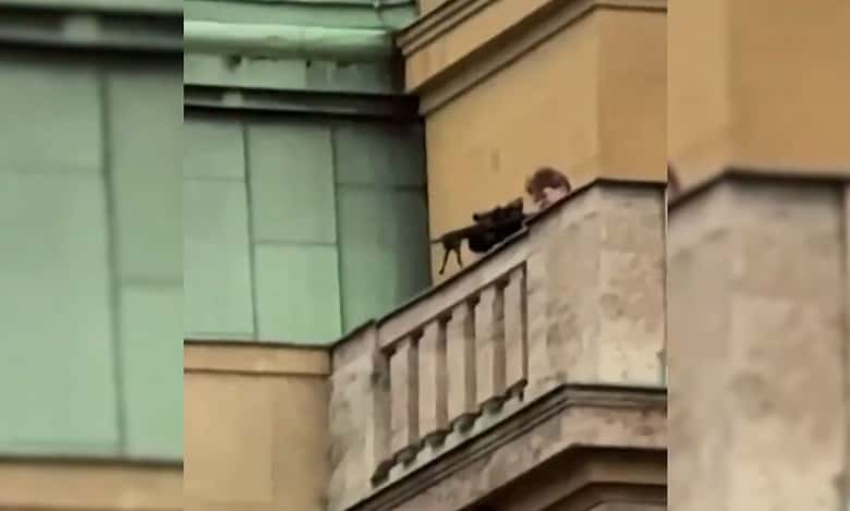 11 victims in Prague university shooting identified: Police