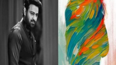 Prabhas set to come with new avatar in Maruthi's next film