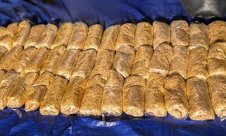 Sharjah Police arrest 551 drug traffickers since Jan 2023