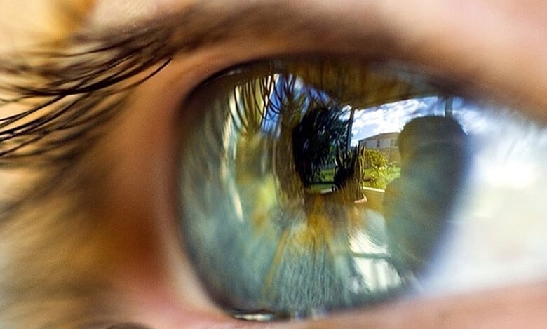 New machine learning model to prevent sight loss in humans