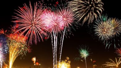 Telangana government announces New Year's Day holiday