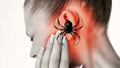 Ear pain turns out terrifying as woman finds spider residing inside