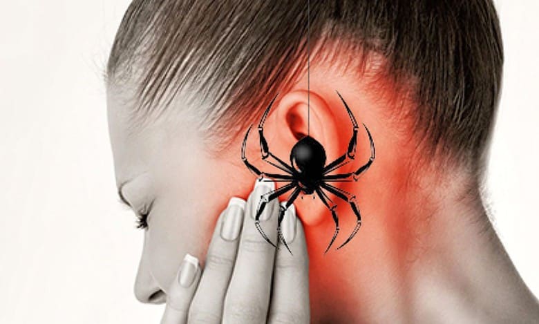 Ear pain turns out terrifying as woman finds spider residing inside