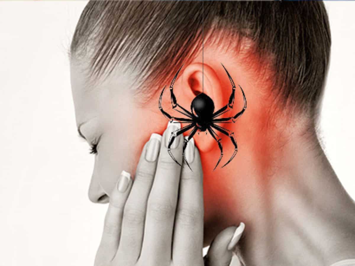 Ear pain turns out terrifying as woman finds spider residing inside