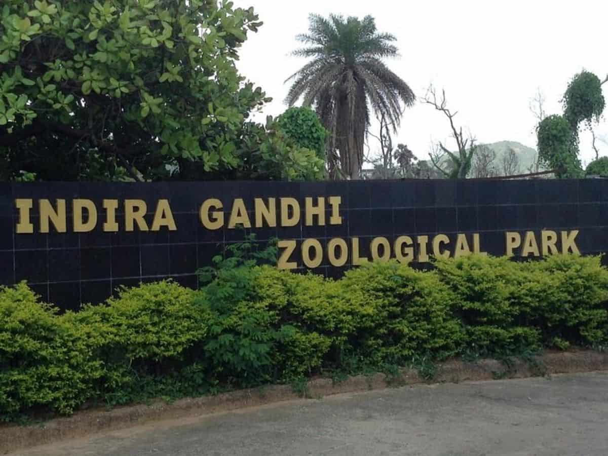 _Vizag Zoo, known as the Indira Gandhi Zoological Park.