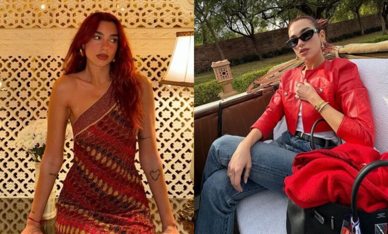 Dua Lipa spends holidays in India, shares pics from Rajasthan trip
