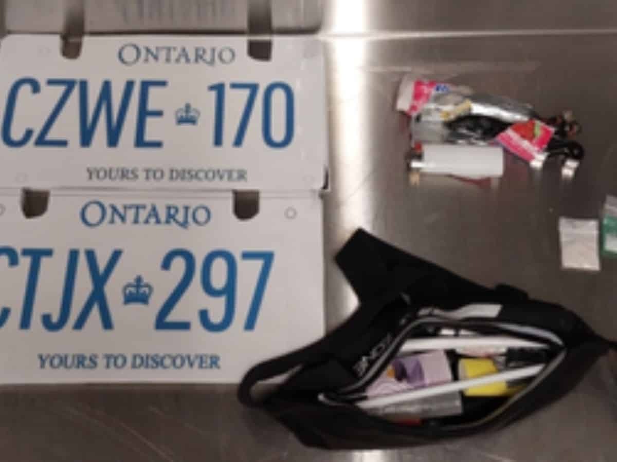 fake cardboard licence plates