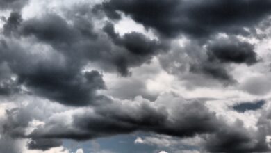 Hyderabad braces for rainfall today due to Cyclone Michaung