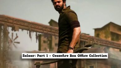 Prediction: Prabhas' Salaar Day 1 box office collections