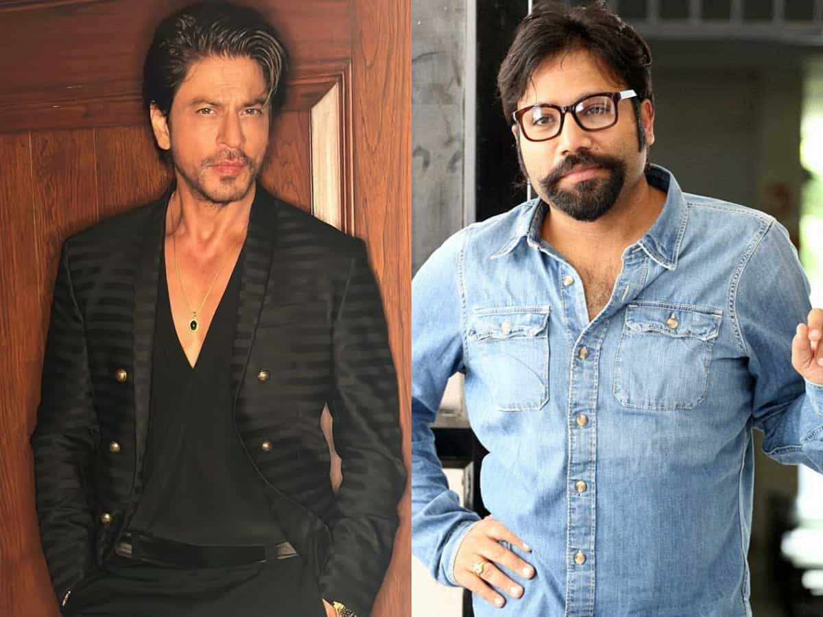 Sandeep Reddy Vanga, Shah Rukh Khan's movie on cards