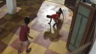 Stray dog attacks boy in Hyderabad