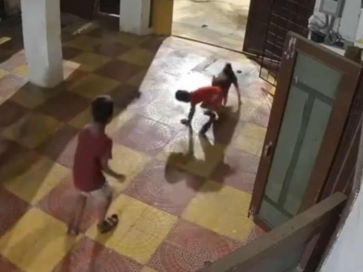 Stray dog attacks boy in Hyderabad