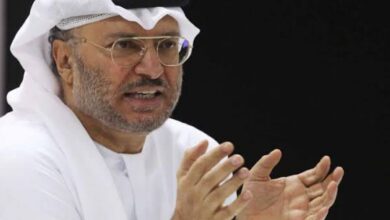 UAE pledges to maintain ties with Israel amid Gaza war: Anwar Gargash