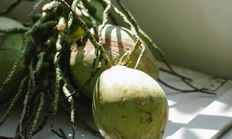 Karnataka: Rising arecanut prices bring relief to growers