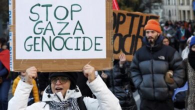 Belgian law professors urged to intervene in genocide case against Israel at ICJ